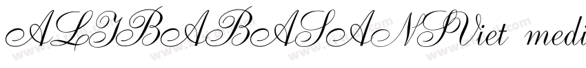 ALIBABASANSViet medi字体转换